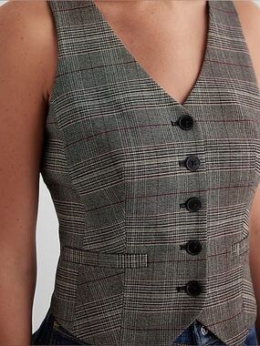 Express Plaid Editor Vest